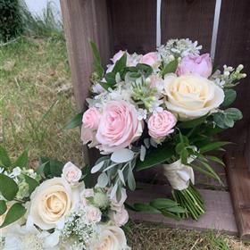 fwthumbcream and pink bridal in the crate.jpg